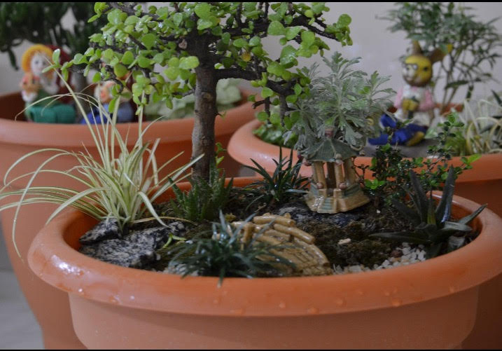 How to do a fairy garden