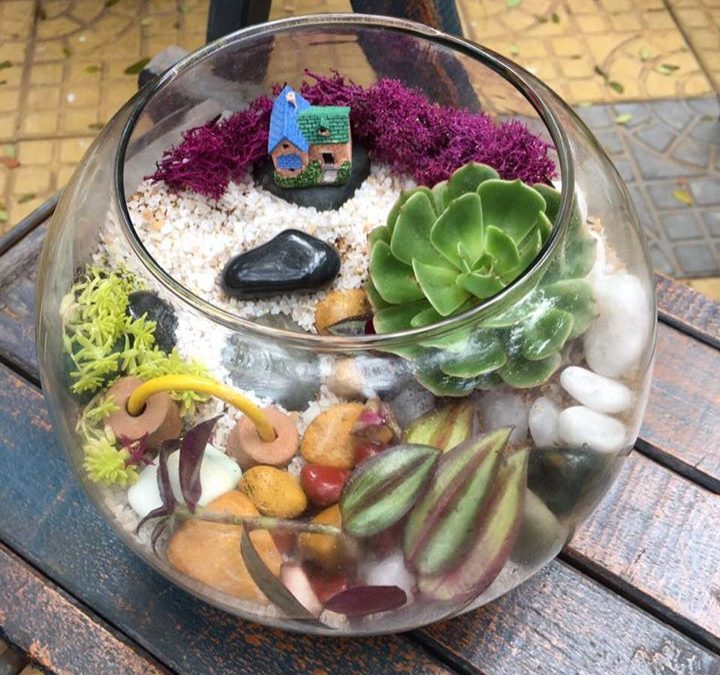 Terrarium workshop (Bangalore)