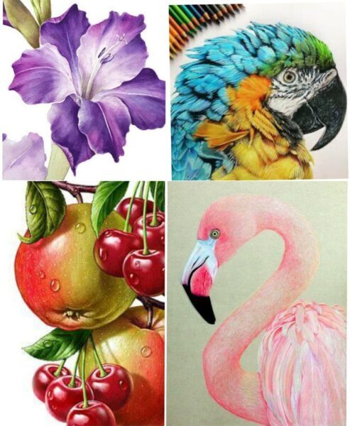 online color pencil sketching classes for beginners