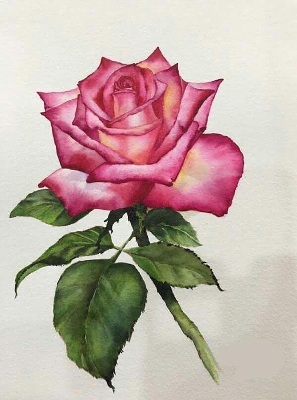 #watercolorfloral #watercolorpainitng